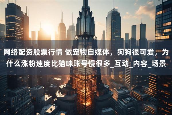 网络配资股票行情 做宠物自媒体，狗狗很可爱，为什么涨粉速度比猫咪账号慢很多_互动_内容_场景