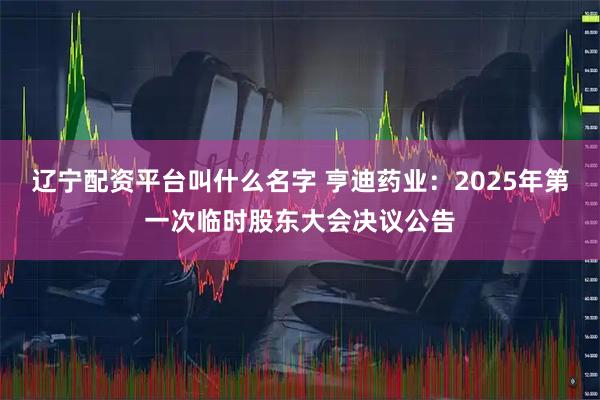 辽宁配资平台叫什么名字 亨迪药业：2025年第一次临时股东大会决议公告